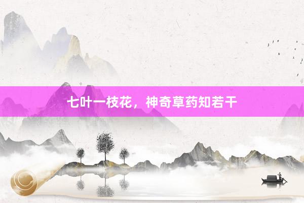 七叶一枝花,神奇草药知若干