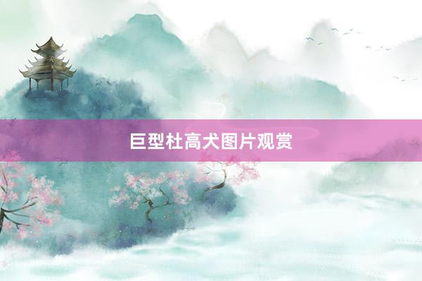 巨型杜高犬图片观赏