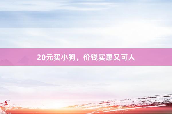 20元买小狗，价钱实惠又可人